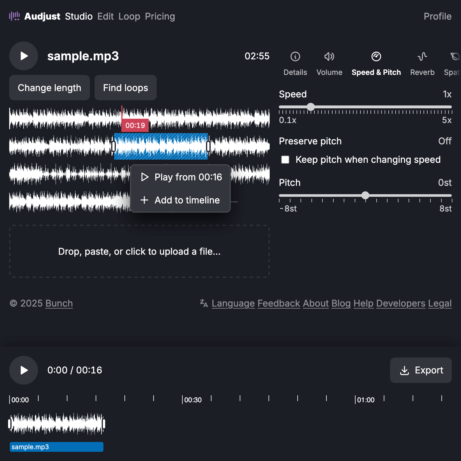 Интерфейс Audjust Studio с таймлайном, Reverb, Spatial и Export