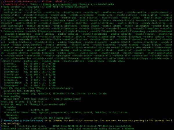 Пример ввода команды FFmpeg в терминале