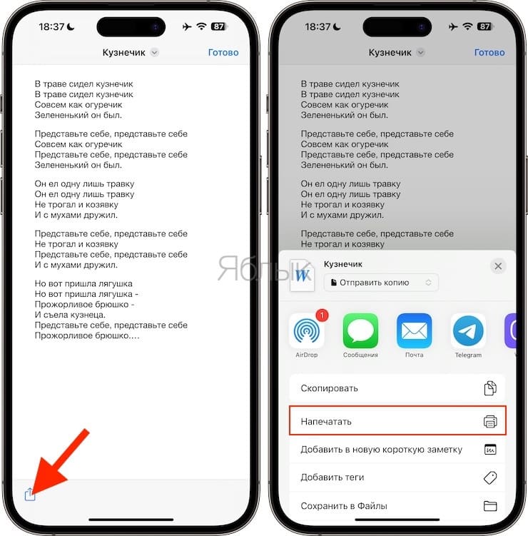 Экспорт Word-документа в PDF на iPhone или iPad
