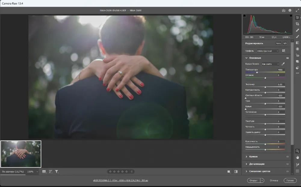 Светлые области и тональная коррекция в Adobe Camera Raw