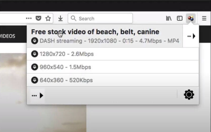 Список найденных потоков Video DownloadHelper