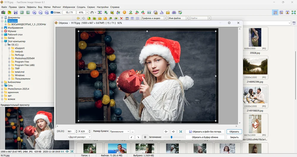 Панель кадрирования в FastStone Image Viewer