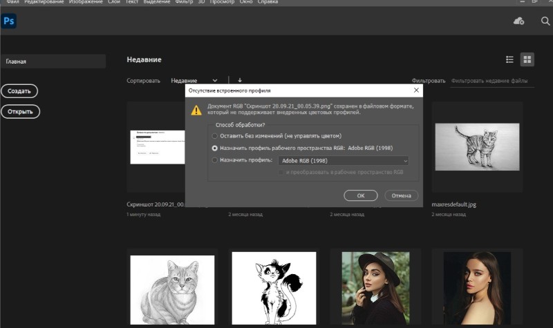 Рабочее окно Adobe Photoshop с открытым изображением