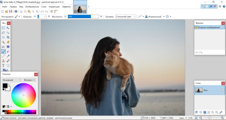Открытие изображения в Paint.NET