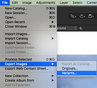 Команда экспорта выбранных вариантов в Capture One