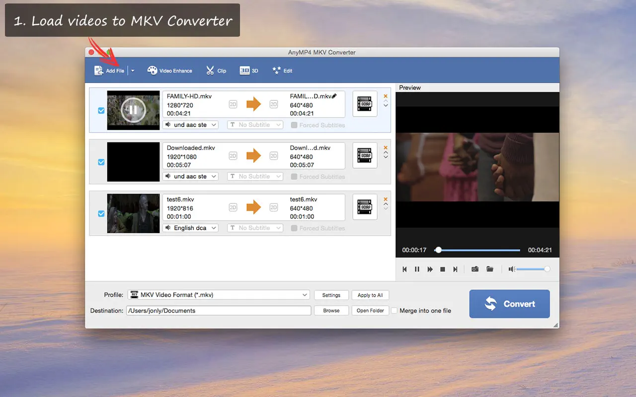 Интерфейс AnyMP4 MKV Converter для macOS