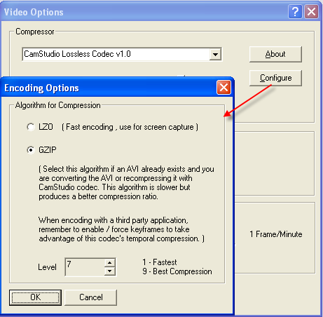 Окно Encoding Options CamStudio Lossless Codec с режимами LZO и GZIP