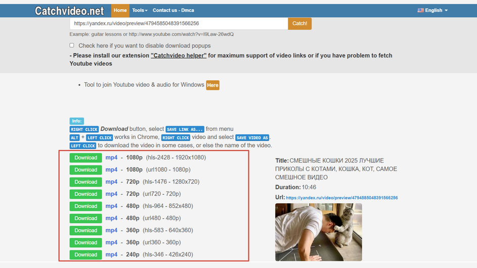 Список разрешений в CatchVideo