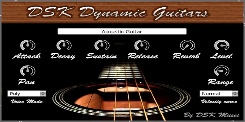 Интерфейс DSK Dynamic Guitars