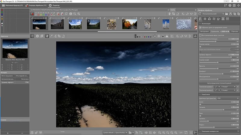 Панели коррекции RawTherapee для RAW-фотографии
