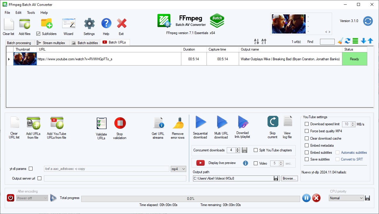 Вкладка Batch URLs в FFmpeg Batch AV Converter с URL, превью, статусом и настройками YouTube