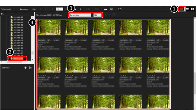 Создание time-lapse movie в Viewer: выбор кадров в Thumbnail Display