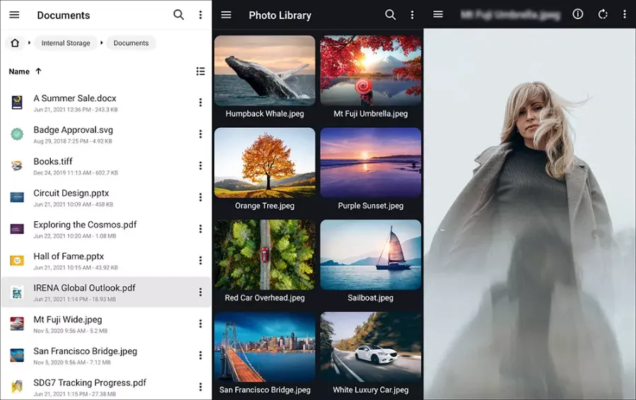 Интерфейс File Viewer for Android при просмотре PSD