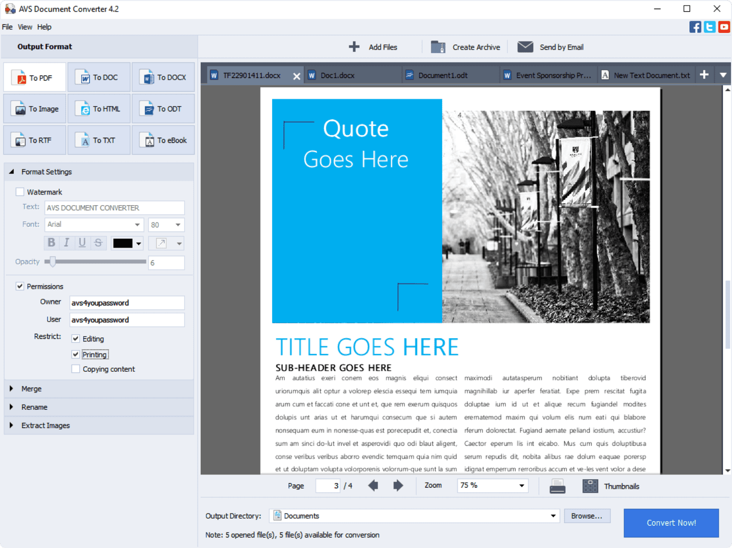 Окно AVS Document Converter с несколькими открытыми документами, настройками водяного знака и ограничениями PDF