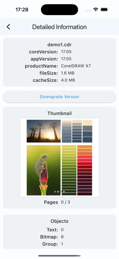 CDR Viewer Plus на iPhone: подробная информация о версии CDR, страницах и объектах