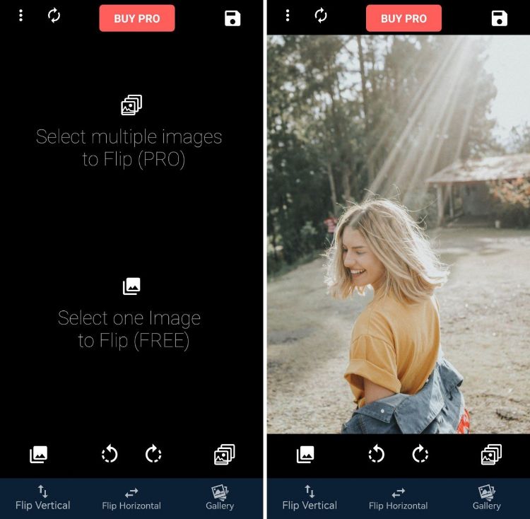 Выбор одиночного и пакетного режима Flip Image