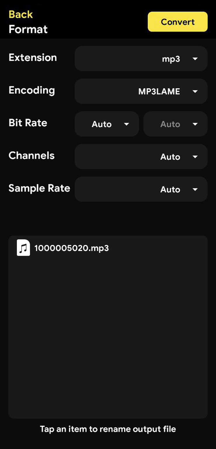 Интерфейс Audio Converter — MP4 to MP3
