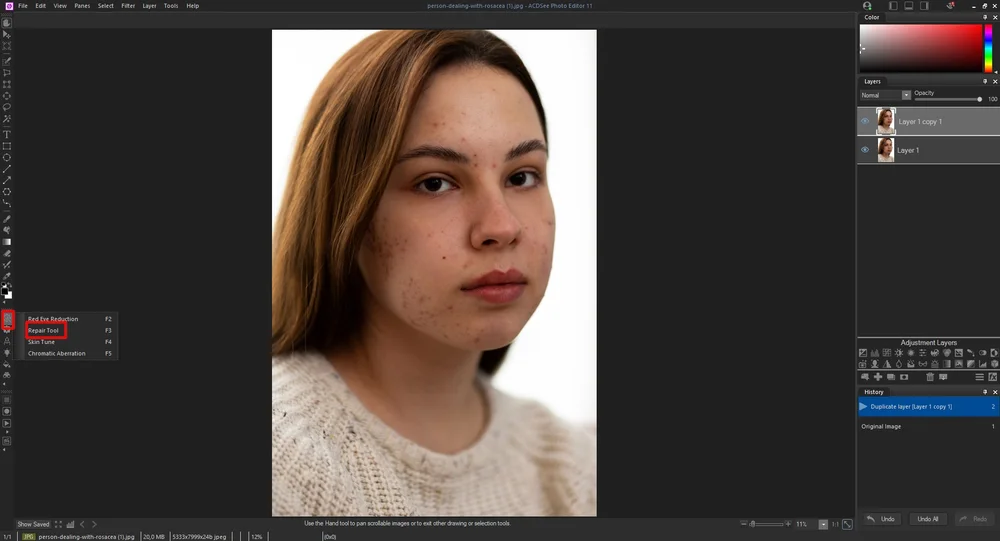 ACDSee Photo Editor: Repair Tool