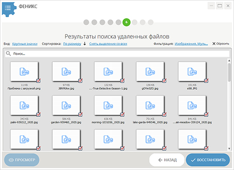 Список найденных файлов в программе Феникс