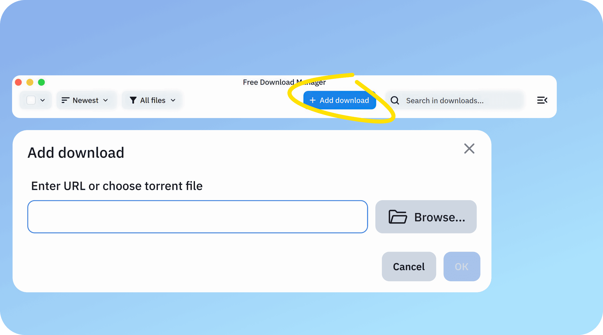 Окно Add download в Free Download Manager