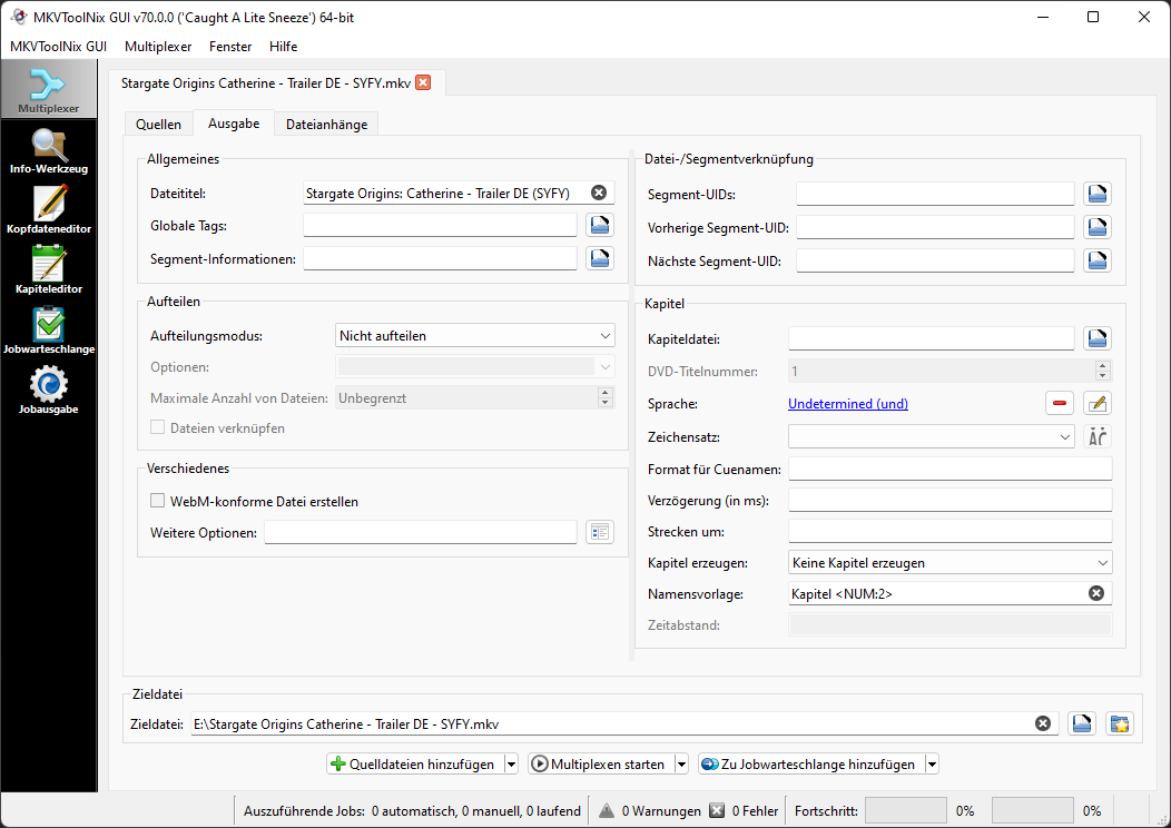 Интерфейс MKVToolNix GUI с вкладками источника, выхода и параметрами контейнера Matroska