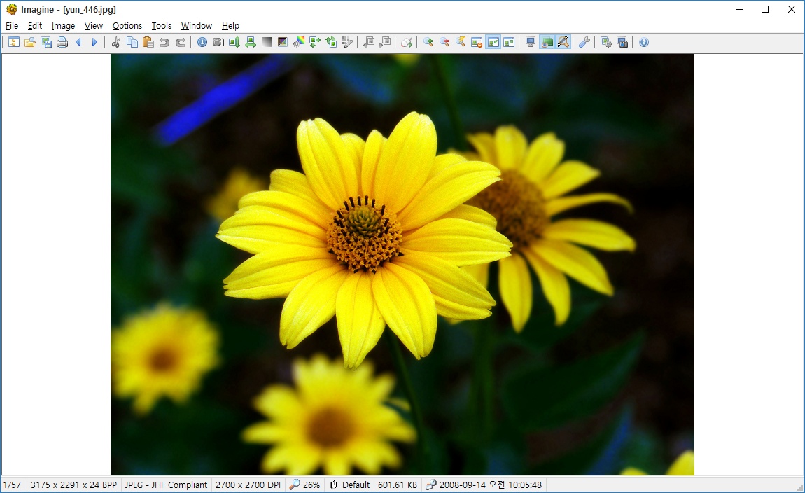 Viewer Window программы Imagine