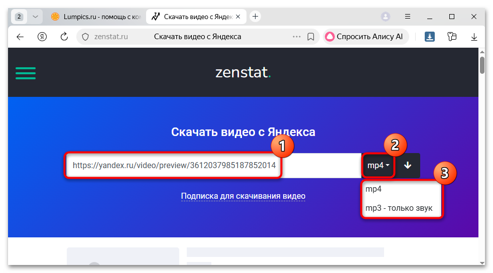 Поле для ссылки в сервисе Zenstat
