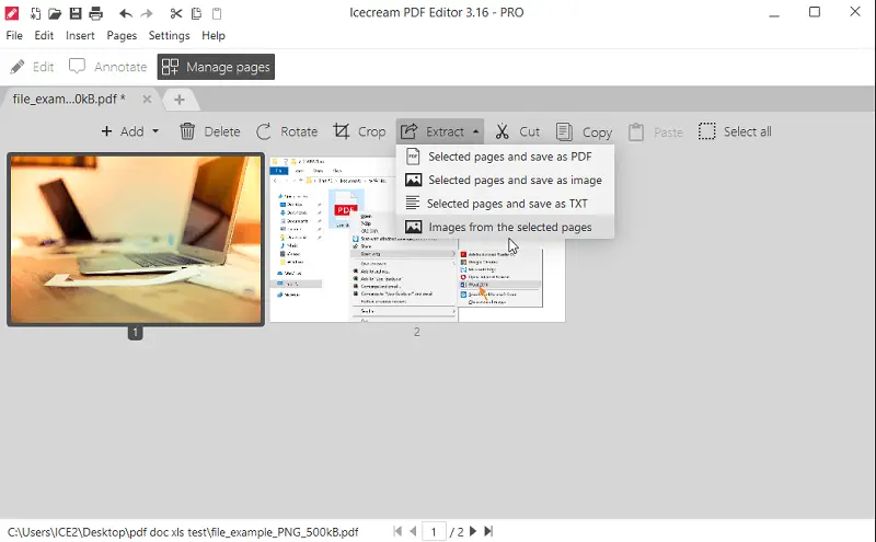 Icecream PDF Editor — Images from the selected pages в меню Extract
