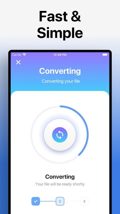 The Video Converter на iPhone: экран Converting с индикатором процесса