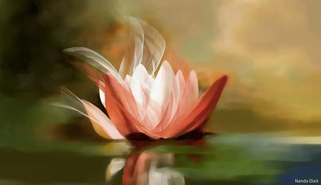 Рисование и кисти в Corel PHOTO-PAINT