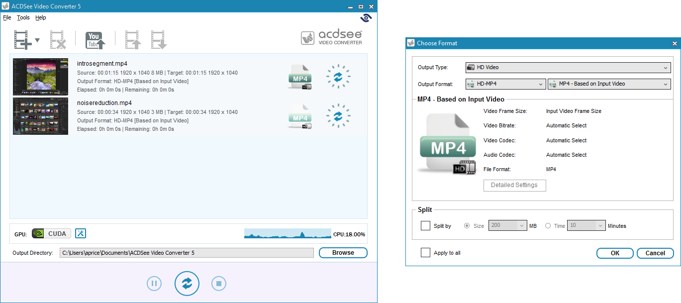 Интерфейс ACDSee Video Converter 5 и окно выбора MP4