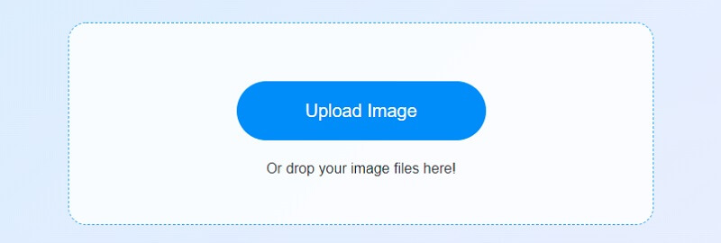 Загрузка изображения в Vidmore Free Watermark Remover Online