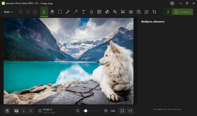 Рабочее окно Icecream Photo Editor с открытым изображением