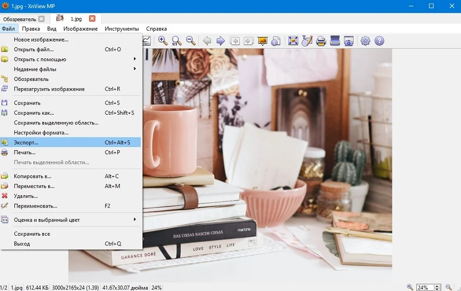 Открытая фотография в XnView