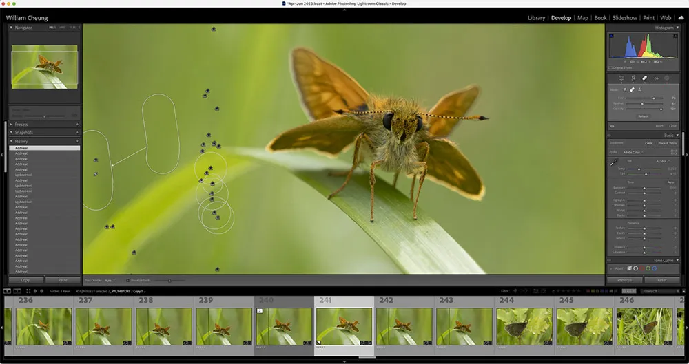 Панель коррекции Lightroom с фотографией и настройками справа