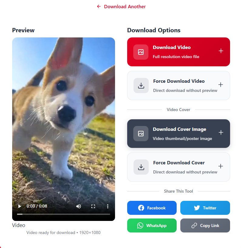 Варианты сохранения в PintDownloader