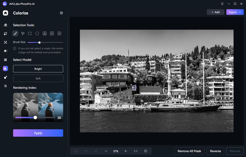 Инструмент Colorize в AVCLabs PhotoPro AI для раскрашивания черно-белой фотографии