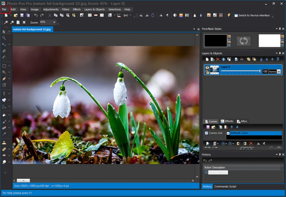 Интерфейс Photo Pos Pro