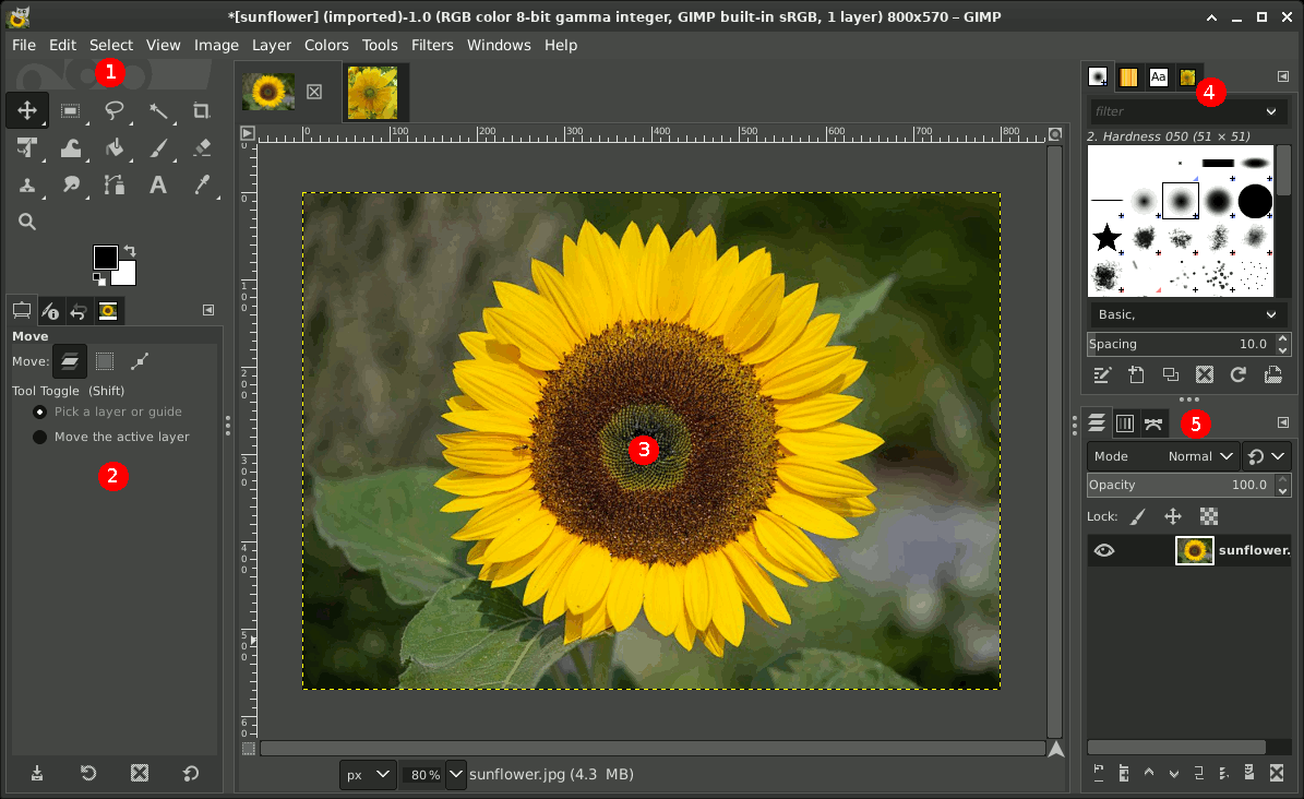 Однооконный интерфейс GIMP с панелью слоёв и инструментами