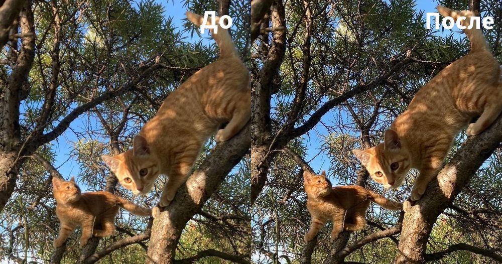 Результат повышения резкости во встроенном Photos