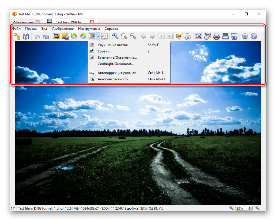 Просмотр фотографии DNG в XnView