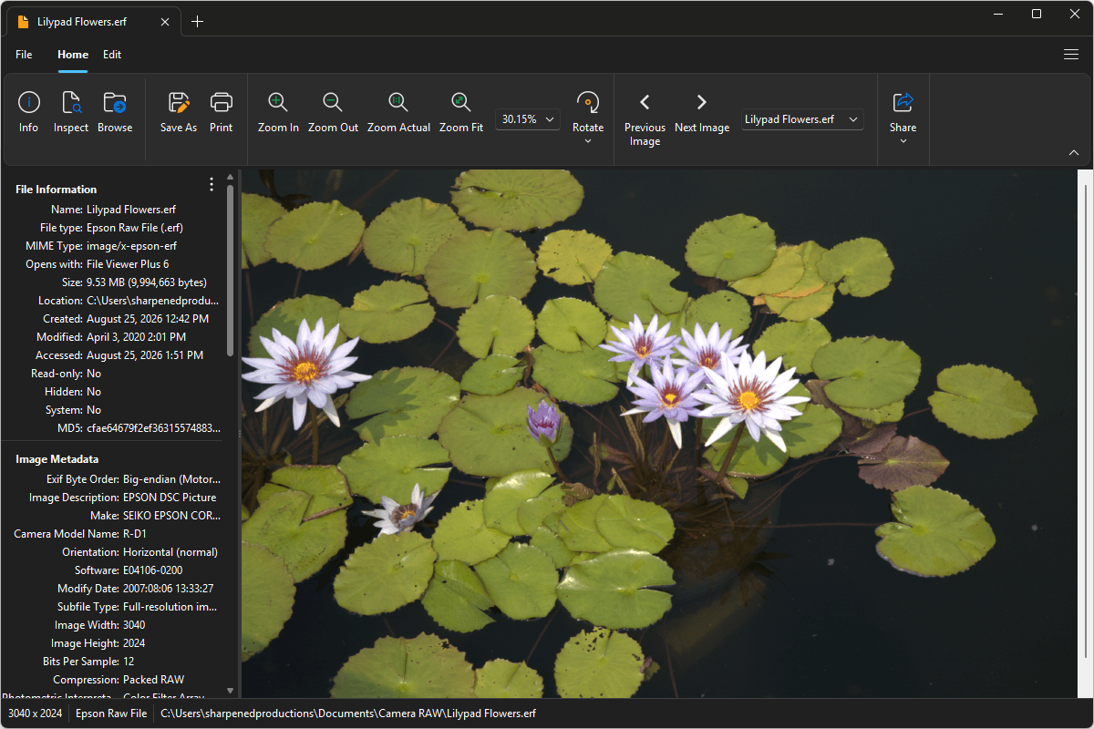 File Viewer Plus с открытым Epson ERF и метаданными камеры Epson R-D1