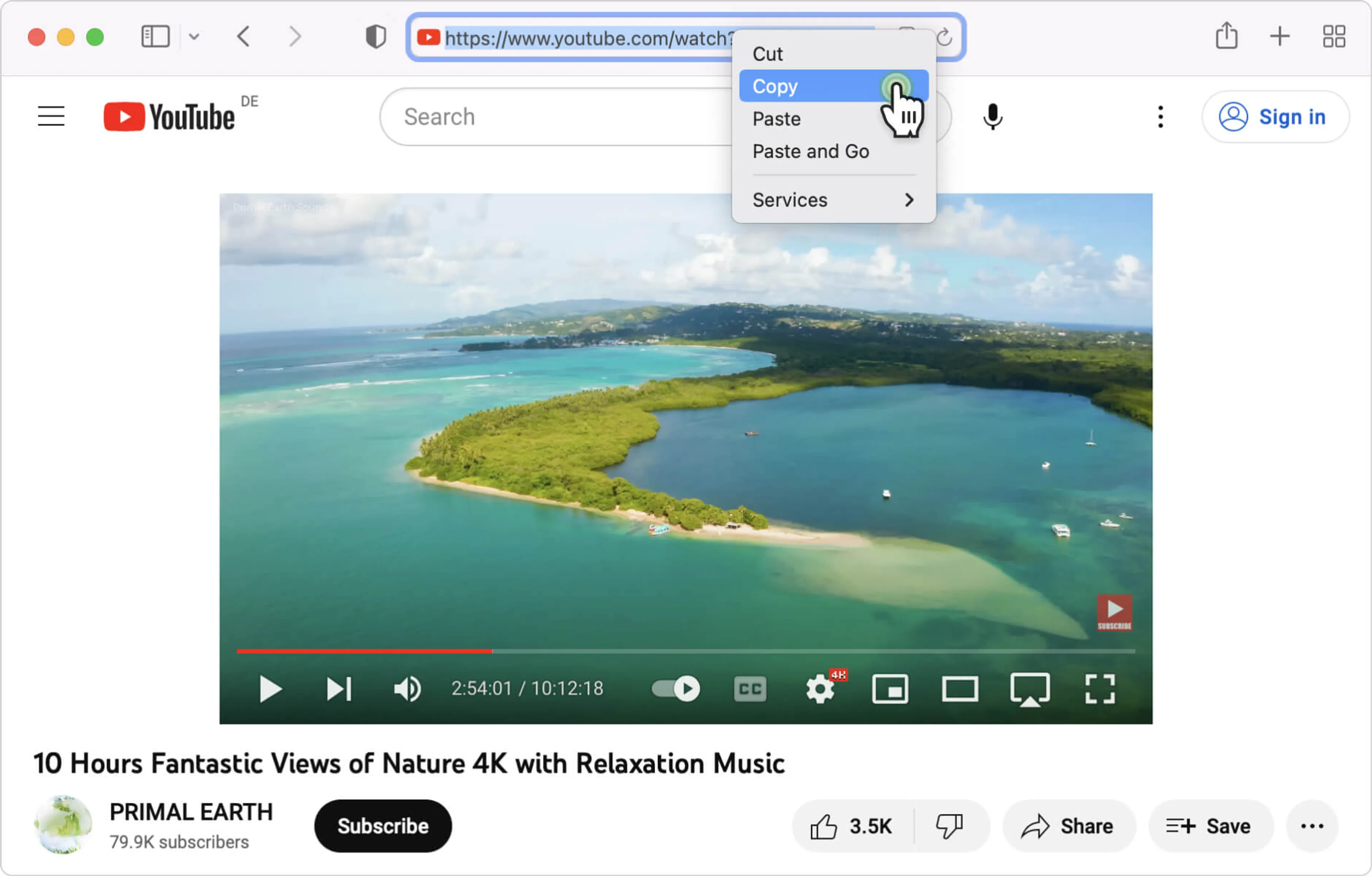 Копирование адреса видео в браузере для 4K Video Downloader Plus